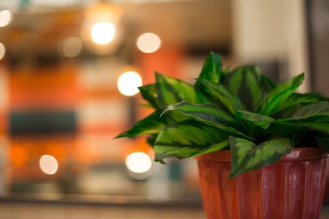 Projeto de Restaurante: SÔ – Unpack Design, detalhe 15