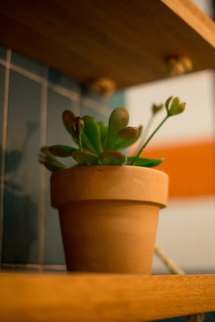 Projeto de Restaurante: SÔ – Unpack Design, detalhe 27